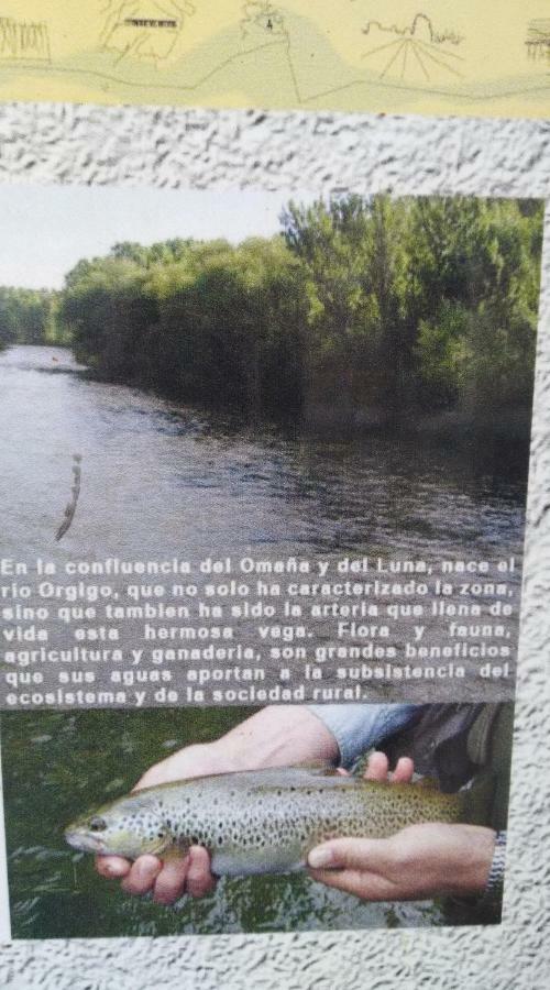 El Rinconcito De Llamas Llamas de la Ribera Dış mekan fotoğraf
